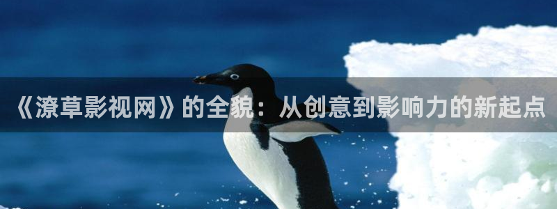 樱桃高清在线播放